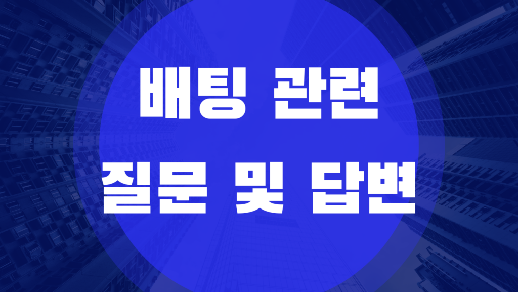 배팅 관련 질문 및 답변